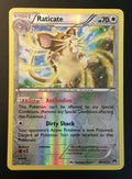 Raticate