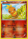 Torchic
